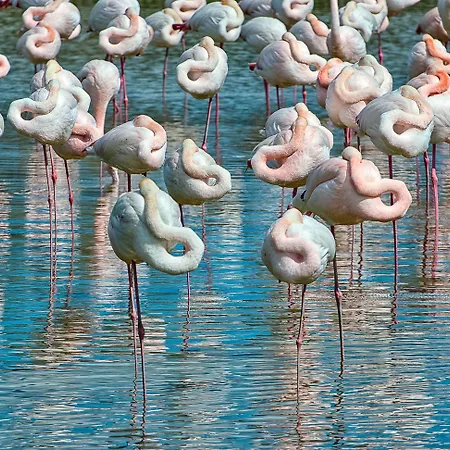 Brennero A Pochi Passi Dal Mare Villa Rosolina Mare