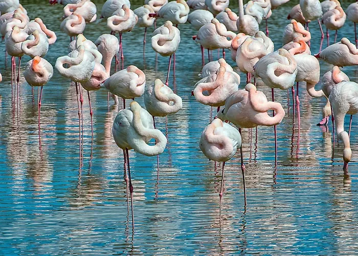 Brennero Vila Rosolina Mare