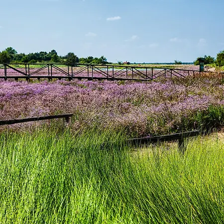 Вилла Brennero *
