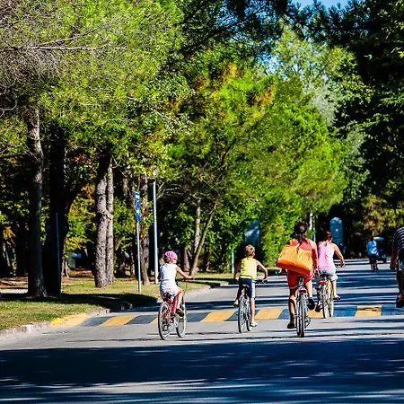 Brennero Rosolina Mare