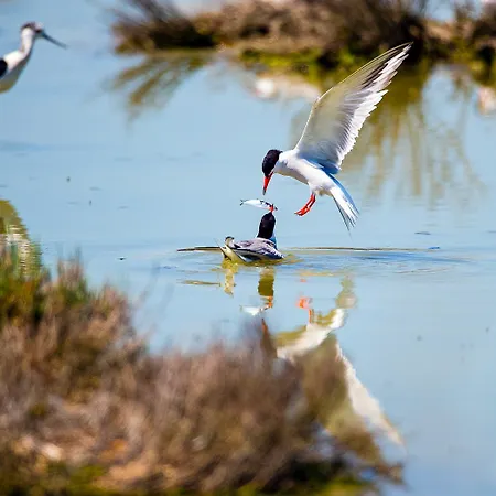 Brennero Вилла *