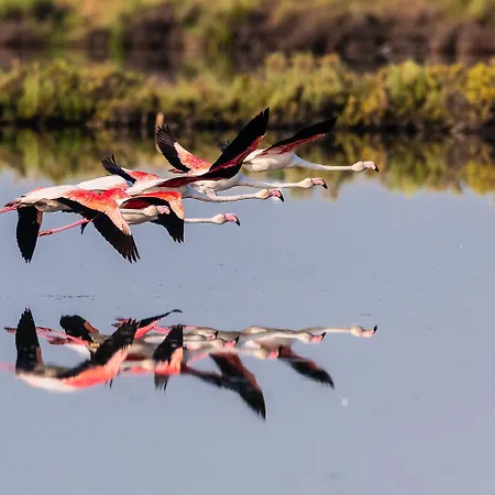 Brennero * Rosolina Mare