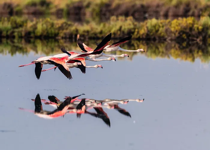 Brennero * רוסולינה מארה